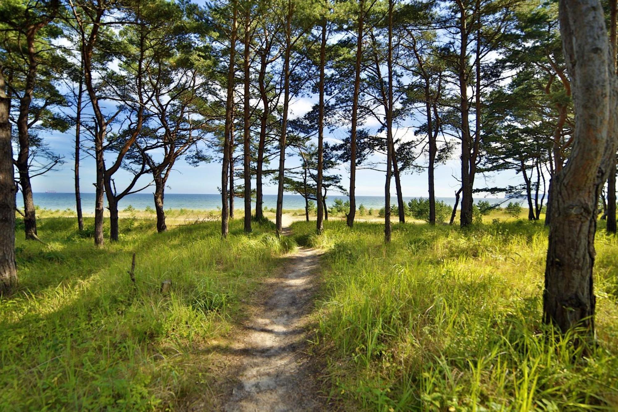 Ferienwohnung Sonnenschein Haus Hiddensee Prora Binz Eksteriør bilde